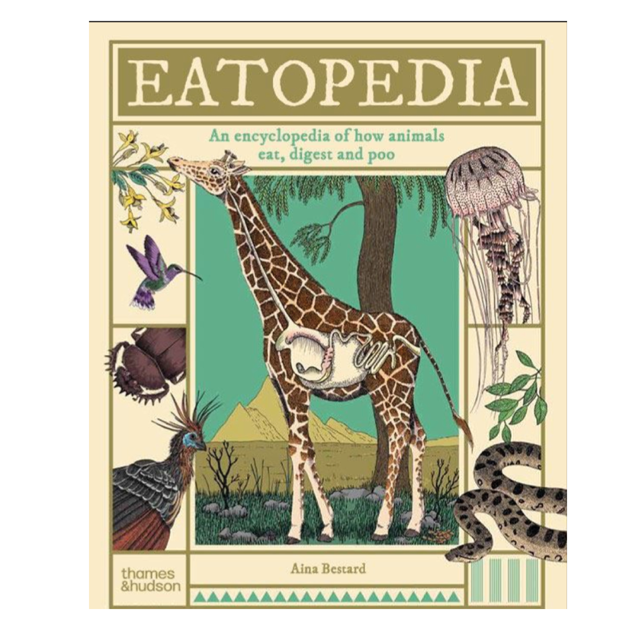 Eatopedia - Aina Bestard