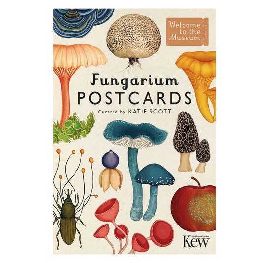 Fungarium Postcards