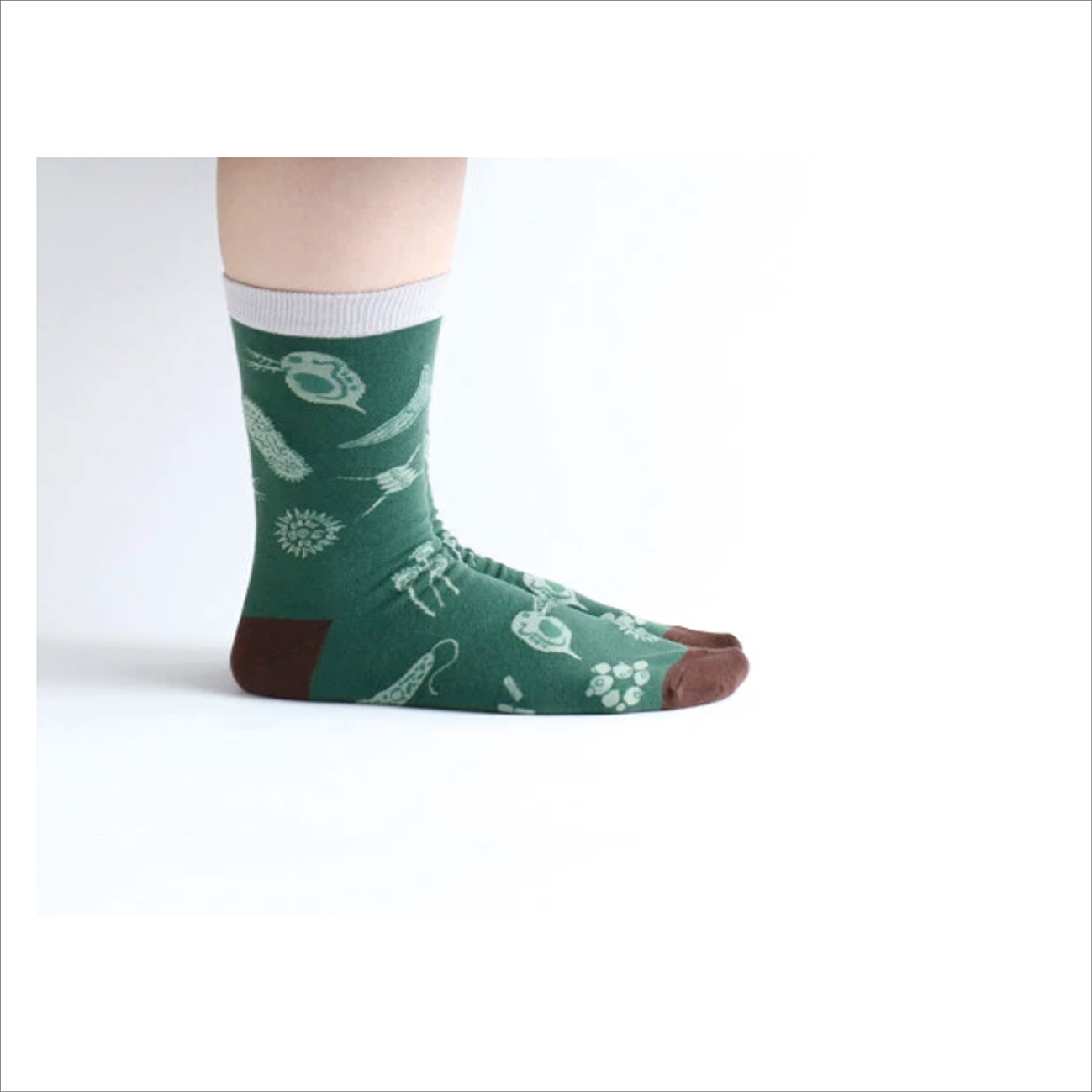 Japanese Crew Socks - Garapago Microbiology