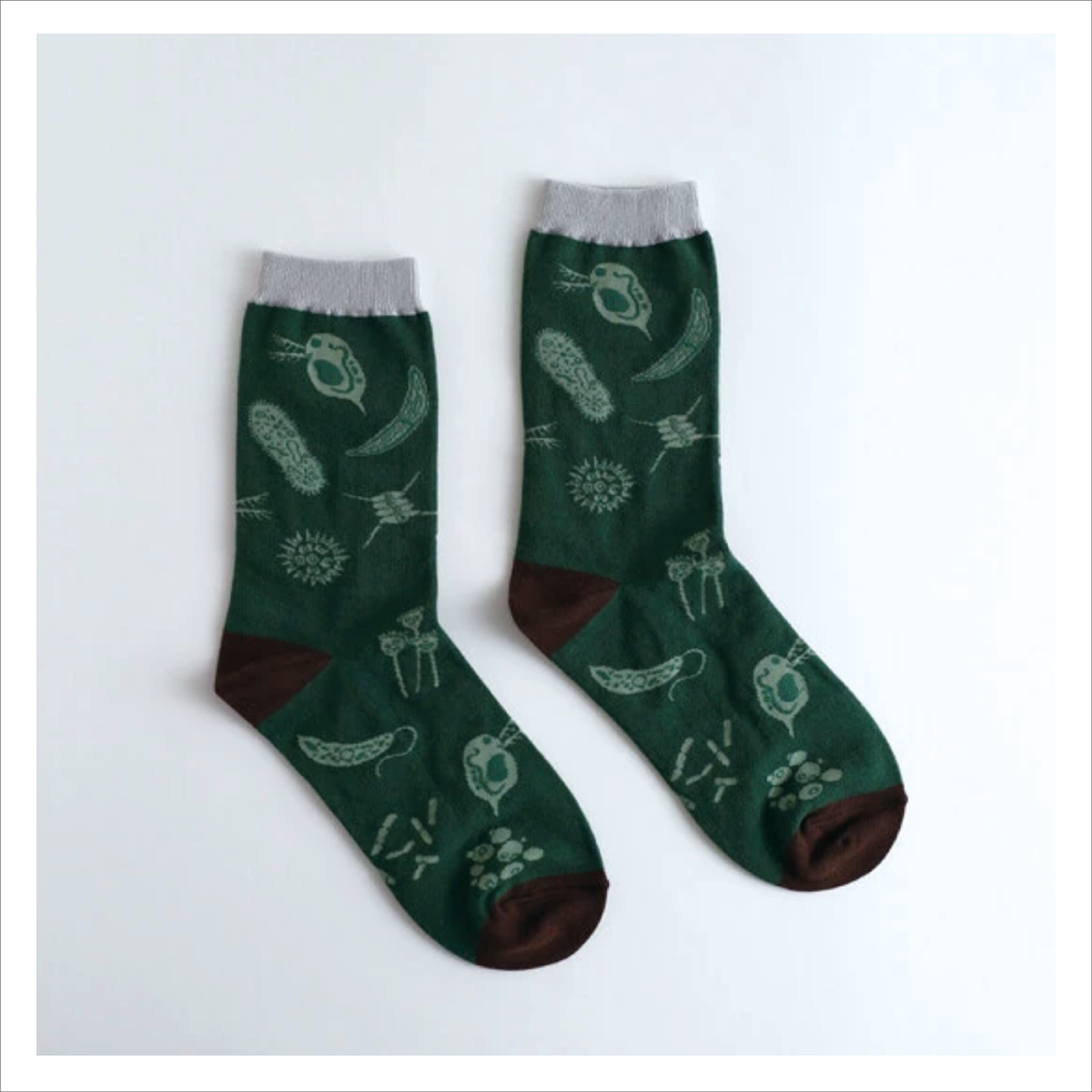 Japanese Crew Socks - Garapago Microbiology