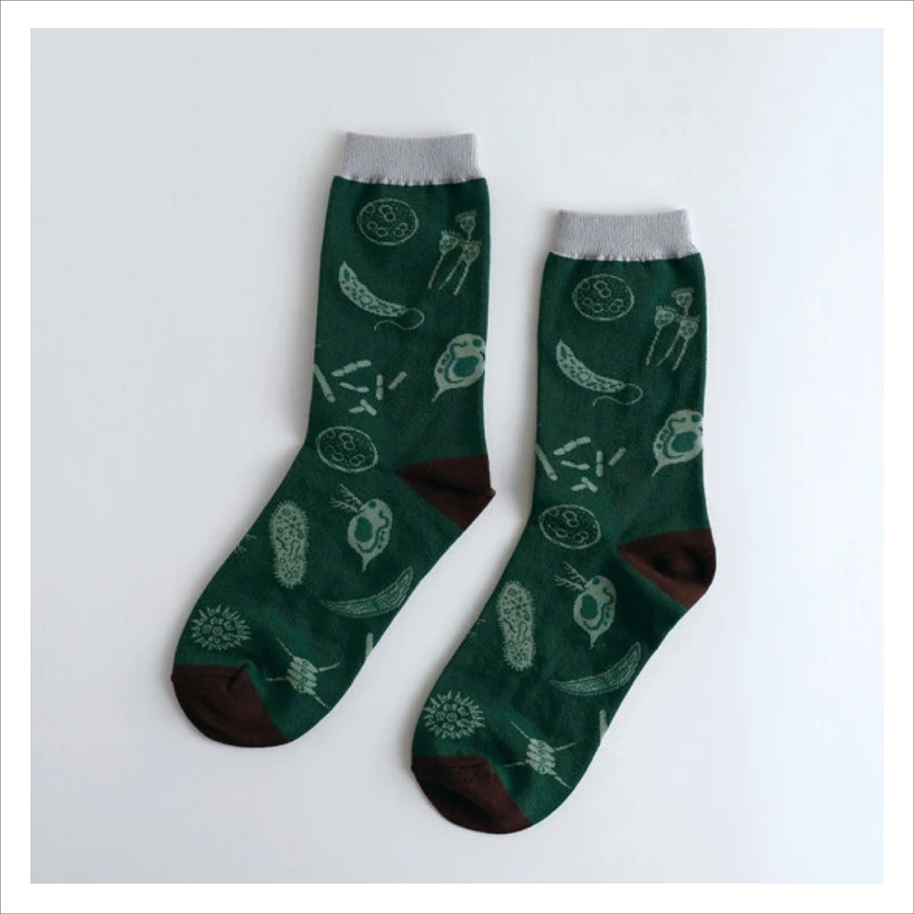 Japanese Crew Socks - Garapago Microbiology