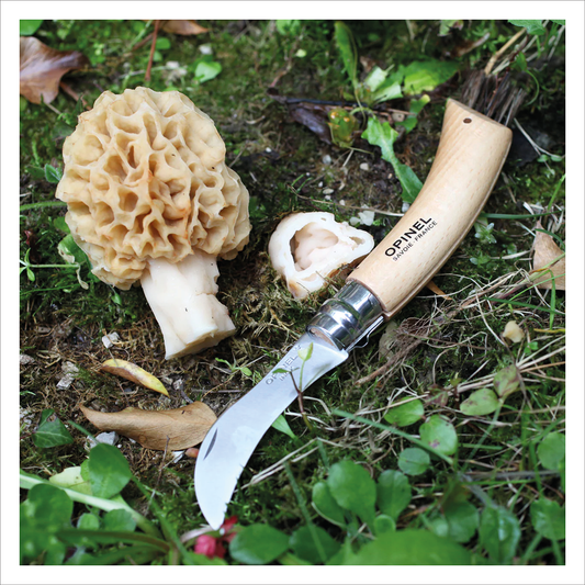 Opinel #8 Mushroom Knife