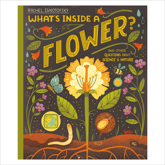 What's Inside a Flower (HB) - Rachel Ignotofsky