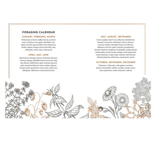 Hedgerow Apothecary - Foragers Handbook